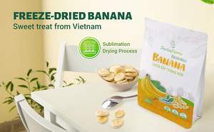 Snack de Fruta Crujiente, Dulzura Natural, Saludable, Empaquetado a Granel, Muestra Gratis, Plátano Liofilizado al por Mayor en Vietnam - Product Image 6