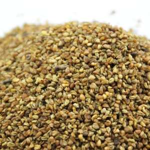 <strong>Fagopyrum</strong> <strong>tataricum</strong> gaertn <strong>seed</strong> bottle Drinks Usage hplc <strong>seed</strong> 10 1 BCI Tartary Buckwheat Extract - Product Image 3