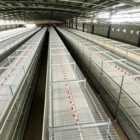 Cage à poulets en fil d'acier, cage à poulets à structure en acier, cage d'élevage de poulets, cage à poulets commerciale, cage à poulets domestique
