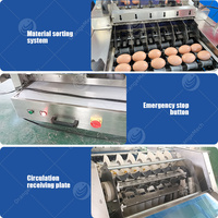 Machine de chargement d'œufs ORME, trieuse et emballatrice de plateaux d'œufs, machine d'emballage d'œufs à vendre