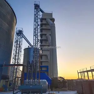 China Top Supplier Vertical Type Cereal Tower Dryer