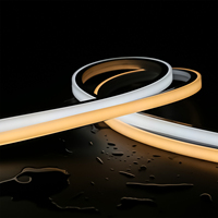 WITOP-bande lumineuse en silicone 12*12MM 13*13MM IP67 LED néon 24V 3000k 4000k 6000k pour façade extérieure paysage