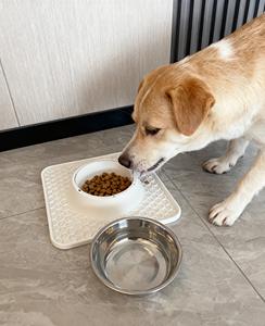 2025 YENİ CUTEN Toptan Kesim Hizmeti Özelleştirme PET <span class=keywords><strong>DOG</strong></span> Silikon YALAMA MATI Yavaş Besleyici Paslanmaz Çelik Köpek Kasesi - Product Image 6