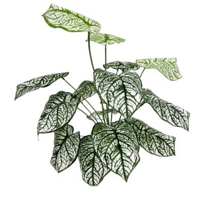 Greenway Artificial Taro <b>Leaves</b> 30cm-100cm Plastic Bouquet For Home <b>Decor</b> Showroom <b>Wall</b> Decoration Photography Landscaping - Product Image 1