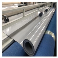 Bâche de bassin en HDPE LLDPE de 500 microns pour étangs à poissons, fermes de crevettes, feuilles de PVC géoflexibles pour projets de lacs artificiels à Singapour