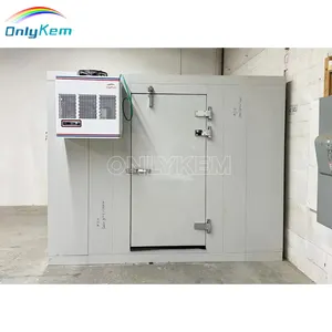 NSF/UL Certificate Walkin Freezer and Cooler in Restaurant