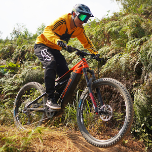 Nouveau modèle chinois qualité 350w 500w 750w capteur <span class=keywords><strong>de</strong></span> couple moteur hors route suspension complète <span class=keywords><strong>course</strong></span> vélo électrique enduro e vélo - Product Image 4