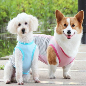Bellewins เสื้อทำความเย็นสำหรับสุนัขและแมว, สินค้ามาใหม่วัสดุเปลี่ยนเฟสในช่วงฤดูร้อน - Product Image 2
