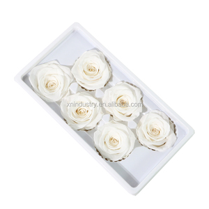 Di alta qualità 5-6cm di lunghezza tocco naturale vera rosa all'ingrosso <span class=keywords><strong>Rose</strong></span> per sempre conservate per la laurea natale ringraziamento - Product Image 3