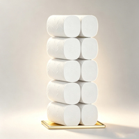 Rouleaux de papier toilette écologiques biodégradables, lingettes pour le corps, vente en gros, logo personnalisé, doux, épais, en pâte de bois vierge, 12, 24, 48 rouleaux