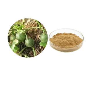 Tarla Muskmelon özü 10:1 Cucumis Melo L. Var. Agrestis Naud. Özü tozu - Product Image 1