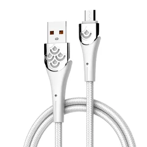 Ldnio Ls862 Gouden Leverancier Usb-C Kabel Snel Opladen Lijn Voor Apple Type C Snel Opladen Gevlochten Datakabel