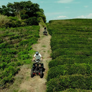 Nouveau Scooter Électrique Tout-Terrain Robuste 4 Roues pour Seniors, Idéal pour les Voyages en Extérieur - Modèle 2026 en Promotion - Product Image 5