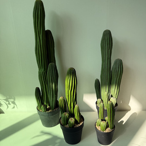Plantes artificielles en plastique, <span class=keywords><strong>cactus</strong></span> artificiel, décoration de jardin, <span class=keywords><strong>cactus</strong></span> pour intérieur, extérieur, maison, bureau, plantes artificielles - Product Image 2