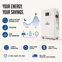Produit Tendance 2027, Stock UE, Pack de batteries LiFePO4 16 kWh 48V 51.2V, Stockage d'énergie 17.5 kW, Batterie au lithium hors réseau 15 kW pour applications industrielle et agricole