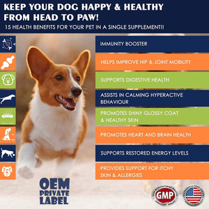 Logo privé suppléments de soins de santé pour animaux de compagnie chien multivitamine à mâcher doux pour améliorer l'immunité des animaux de compagnie combler l'écart en nutriments - Product Image 4