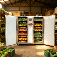 Hoge Efficiëntie Bananen Sinaasappel Schaal Droogmachine Dehydrator Appel Mango Fruit Dehydratie Verwerkings Oven
