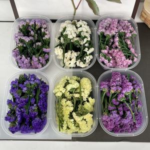 طبيعي ، أنسي ، لا أنسي الزهور لتزيين رياض الأطفال ، سكرابوكينغ ، لا تصنعه بنفسك ، عدة حرفة - Product Image 4