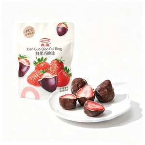 Gelato alla Fragola Congelato con Doppio Rivestimento al Cioccolato, Dessert di Alta Qualità, Etichetta Personalizzata, Spedizione Rapida in Tutto il Mondo - Product Image 2