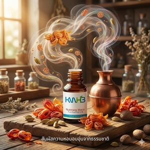 Aceite Esencial Puro de Nuez Moscada y Mace KWHB 5ml, Extractor Herbal para Uso Doméstico, Producto de Tailandia - Product Image 2