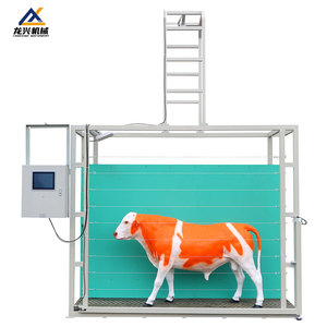 Sistema Intelligente di Misurazione Corporea per Bovini, Rilevatore Professionale delle Dimensioni dei Bovini per Allevamenti su Larga Scala - Product Image 6