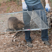 Trampa para Animales, Jaula de Acero Grande y Humana, Trampa de Alambre para Control de Roedores