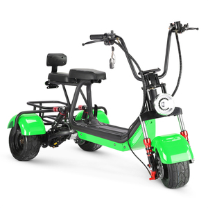 Triciclo de Tres Ruedas de 6 Pulgadas y 800w, Último Modelo de Fábrica, Moderno y Seguro, Triciclo para Adultos - Product Image 5