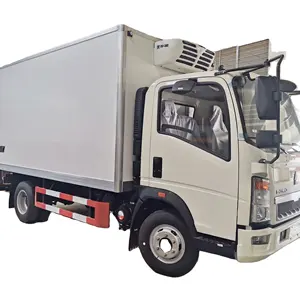 Termokupl soğuk hava tertibatlı kamyon SINOTRUK HOWO reefer kamyon 3 ton mini ISUZU motoru CUMMINS et balık taşıma