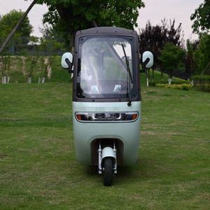 Scooter électrique à 3 roues FGQ Urban Leisure multi-places avec toit et porte-bagages arrière, tricycle électrique pour les trajets domicile-travail et les courses - Product Image 5