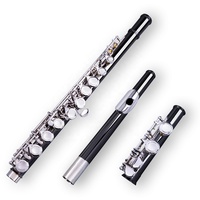 STARWAY Flute Professional Brass C Key 16 Hole Flute Silver Plated Musical Instruments With Case and Accessories