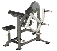 Machine d'entraînement de biceps chargée par plaque d'utilisation commerciale de RiZhao pour le GYM