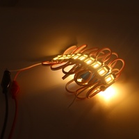 Module LED Dimmable Blanc Froid 0,6W DC12V Étanche IP65 à Angle Large 120° pour Boîte Lumineuse Publicitaire, Garantie 2 Ans
