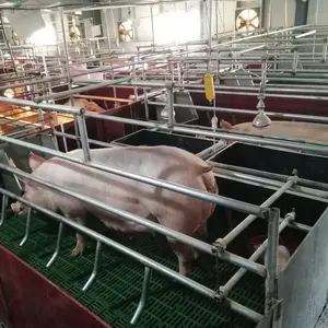 Hot Sale Pig Farrowing Crate Pen For Pig Farm Equipment