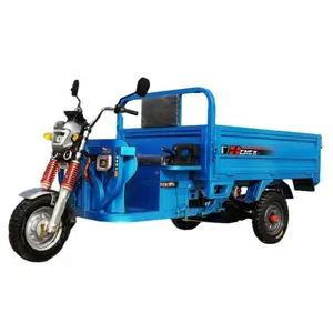 Triciclo de carga elétrico de alta qualidade personalizado de 3 rodas China 180cm 200cm 220cm 1500w