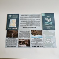 Papel guía personalizado impreso para turista, mapa plegable múltiple