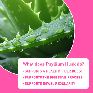 Capsules de poudre de psyllium à succès avec fibres alimentaires pour favoriser la sensation de satiété et soutenir la digestion – Capsules à base de plantes - Product Image 4