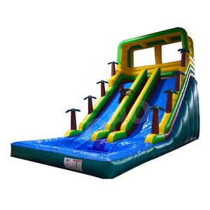 De doble carril de inflables toboganes de agua volar diapositiva con piscina - Product Image 1
