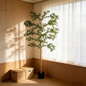 Popular Árbol de Olivo Negro Artificial Desmontable de 7' Shady Lady, Decoración Moderna para el Hogar, Árboles de Olivo Negro Artificiales Altamente Realistas - Product Image 2