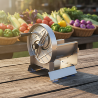 Handmatige multifunctionele, milieuvriendelijke, nieuwe commerciële fruit- en groentesnijder met roestvrijstalen messen
