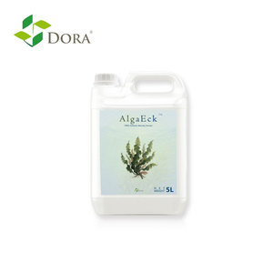 Ecklonia Maxima <span class=keywords><strong>Fertilizante</strong></span> líquido derivado de algas marinas Bioestimulante orgánico para una mayor resistencia a la sequía de calidad de los cultivos - Product Image 6