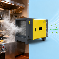 Précipitateur électrostatique commercial, éliminateur d'odeurs de fumée, facile à nettoyer, résistant à la corrosion, pour cuisine de restaurant