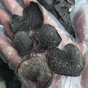 Tartufo Nero Selezionato Cinese a Fette, Fungo Selvatico, Tartufo Nero Salutare a Fette - Product Image 2