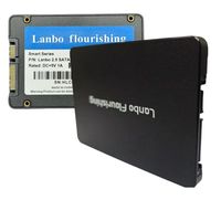 SSD Economico SATA 3 da 2.5 Pollici 1TB 512GB 256GB 240GB 120GB Disco a Stato Solido Interno per Computer e Laptop