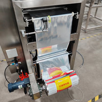 Machine d'emballage automatique multi-tension pour poudres 50-1000g avec servomoteur, tirage de film, formage de sacs, impression de date et remplissage