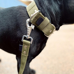 OEM <span class=keywords><strong>2</strong></span> pulgadas táctico perro <span class=keywords><strong>Collar</strong></span> acolchado <span class=keywords><strong>Martingale</strong></span> media Correa galgo collares Material de nailon remache personalizable impresión <span class=keywords><strong>Collar</strong></span> para mascotas - Product Image 6