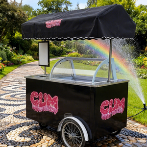 Carrito Congelador Exhibidor de Helados y Gelatos, Vitrina para Paletas y Helados, Carrito de Venta Ambulante para Food Truck - Product Image 1