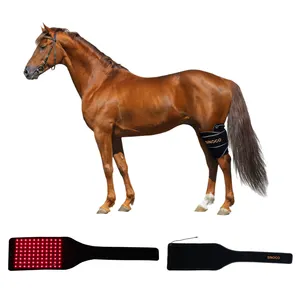 馬の赤外線療法馬の治療鎮痛赤色光療法パッド馬