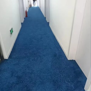 Moquette en rouleau tissée en polaire touffetée pour hôtel, <span class=keywords><strong>pas</strong></span> chère, en polypropylène, pour couloir, mur à mur - Product Image 5