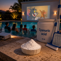 Stabilisateur CYA pour piscine CYA20260924E, formulé pour un chlore optimal