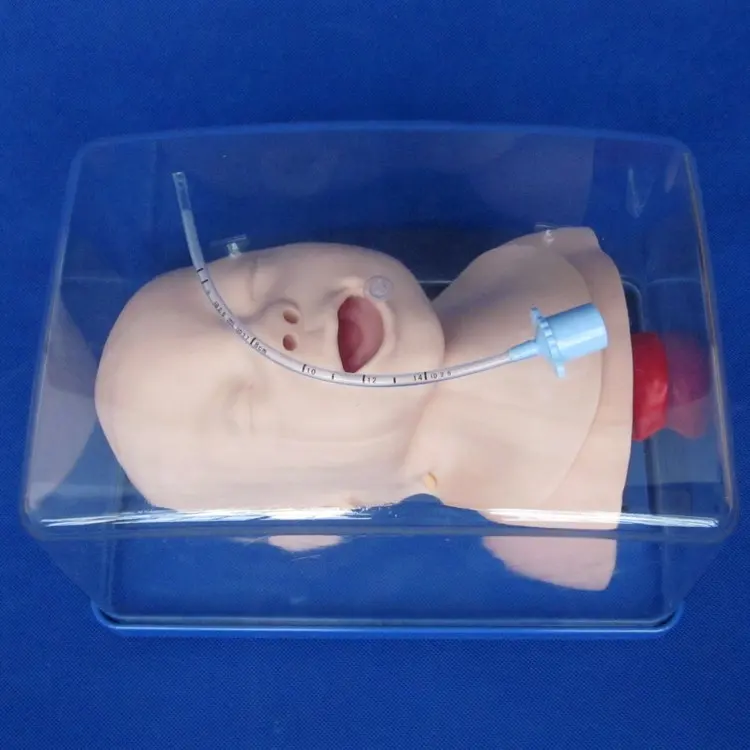 Nieuwe Baby Luchtpijp Intubatie Luchtweg Management Model Hoofd En Schouders Fantoom Voor Intubatie Vaardigheden Training